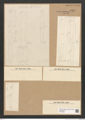 Diatomeae indet. Zeichnungen Sammlung Grunow Nr. 6262 (NHMW-BOT-W0374863)